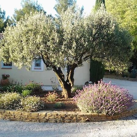 Maison Privee Au Calme Dans Mas Provencal Villa Sanary-sur-Mer Luaran gambar